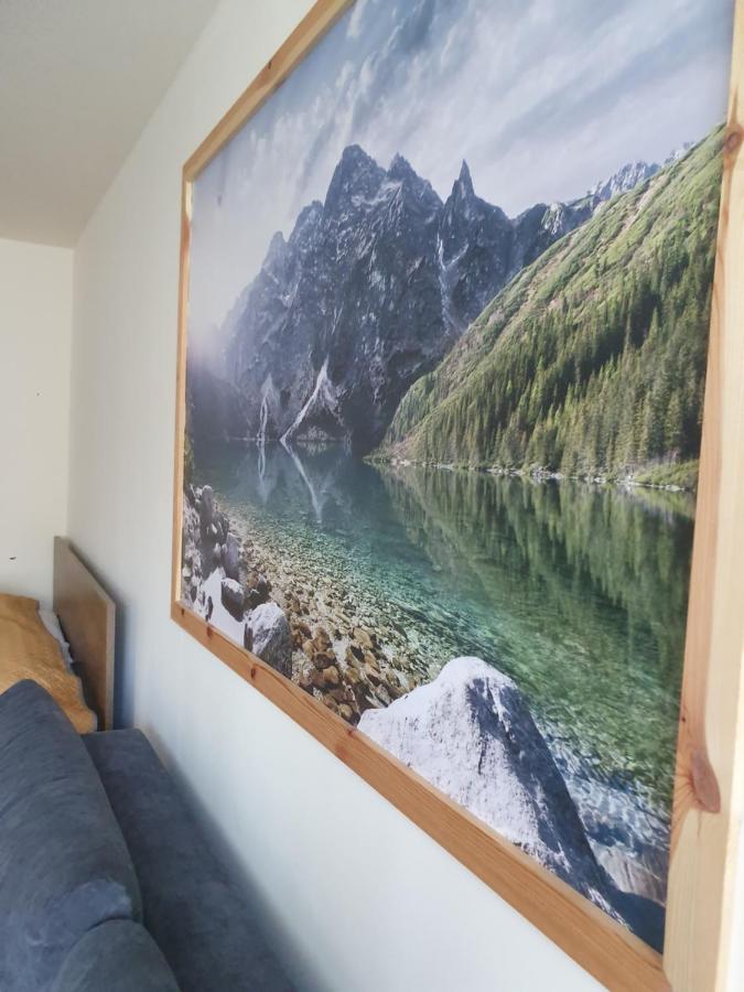 זקופאנה Apartament Izba W Centrum מראה חיצוני תמונה