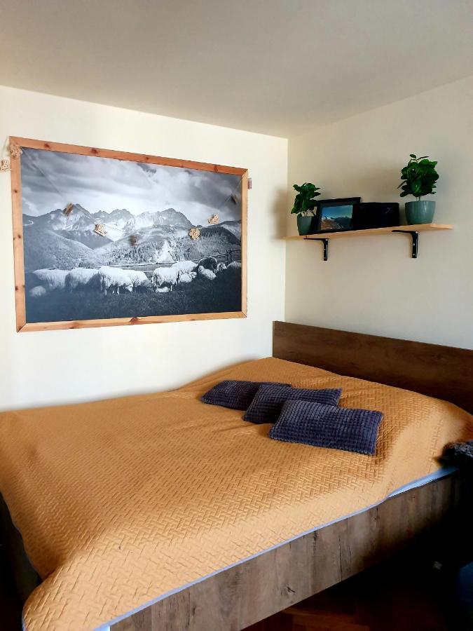 זקופאנה Apartament Izba W Centrum מראה חיצוני תמונה